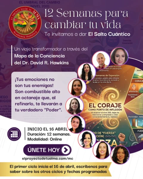 Mapa de la conciencia - Talleres